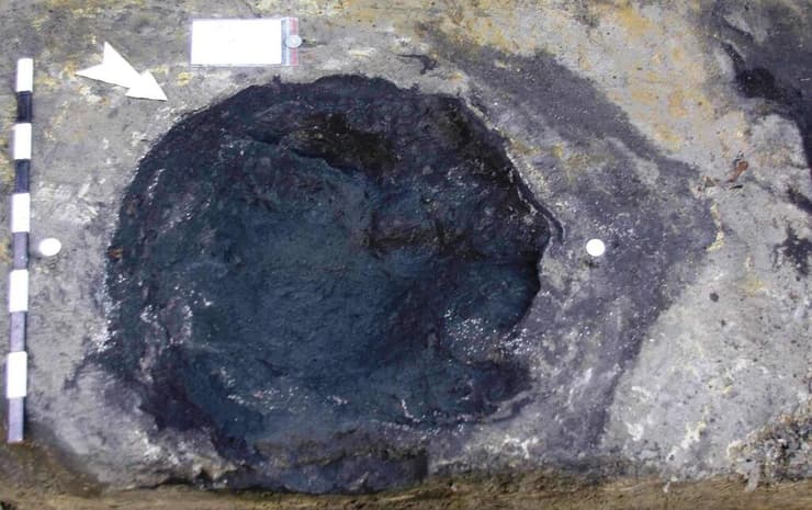 עקבות פיל ישר-חט שהתגלו באתר הפליאוליתי של שונינגן בסקסוניה התחתונה שבגרמניה