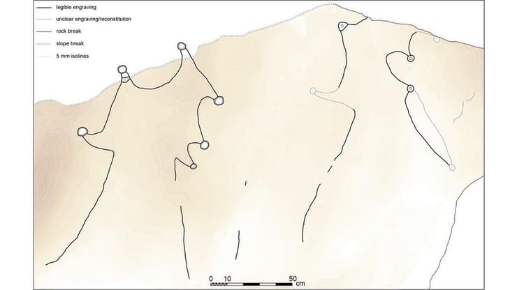 קווי המתאר של שני עפיפוני המדבר שהתגלו בערב הסעודית