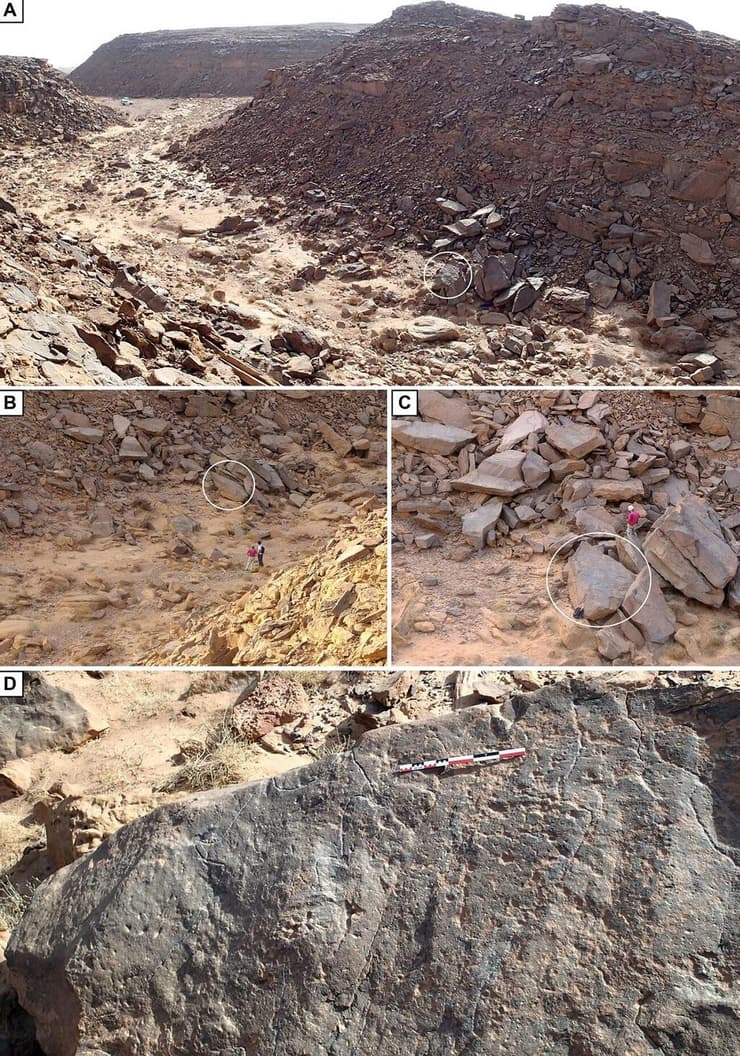 הממצאים שהתגלו בזבל א-זיליאט שבערב הסעודית