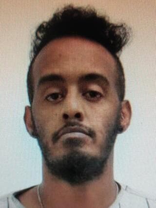 מיכאל טגניה