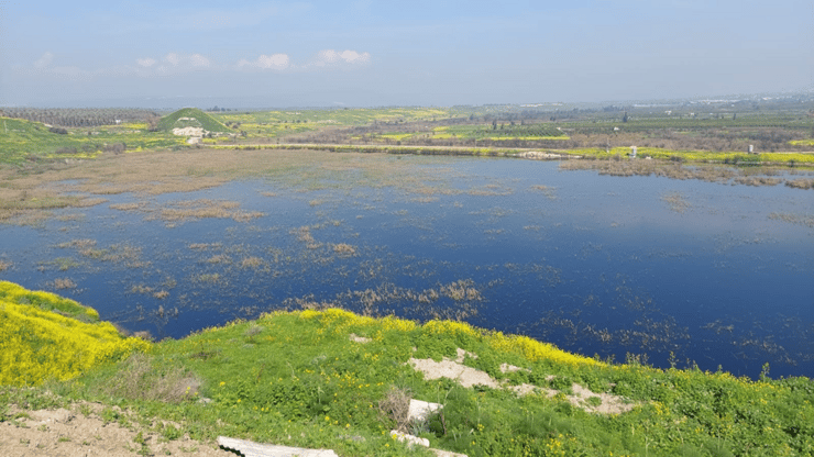 בריכת דגים שהפכה למאגר מים אקולוגי בקיבוץ כפר רופין