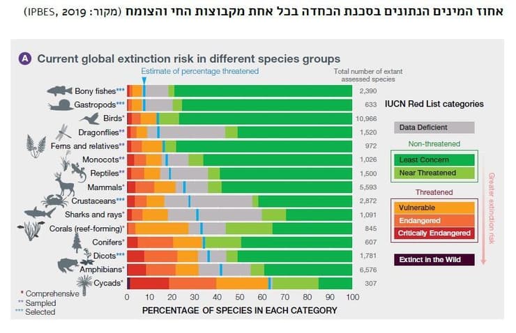 אחוז המינים הנתונים בסכנת הכחדה בכל אחת מקבוצות החי והצומח 