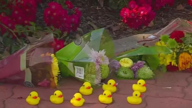 פרחים וברווזי גומי לזכר קייסי ריברה שנדרס למוות כשסייע ל ברווזים לחצות כביש בעיר רוקלין קליפורניה ארה"ב