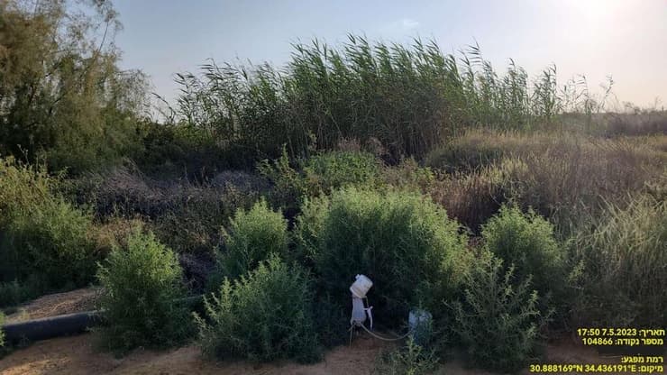 אחד המקומות שבהם נלכדו היתושים הנגועים