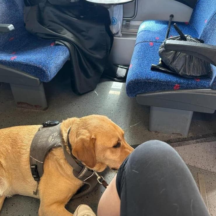 רוני ברכבת מול הגבר שסירב לאפשר לה לשבת לידו 