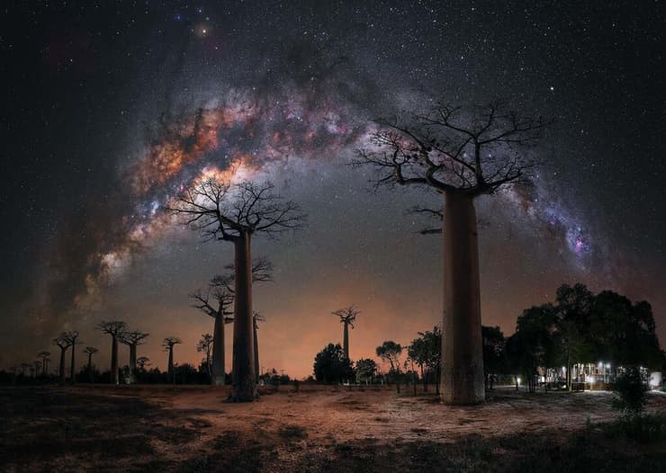 Night under the Baobab Trees