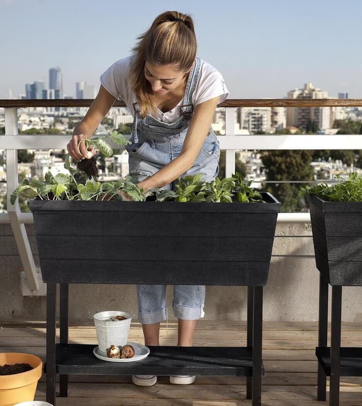 נגישות בגינון: מגדלים במרפסת? אדנית אורבנית שתחסוך מכם את הצורך להתכופף.