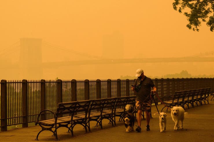כלב כלבים ניו יורק עשן אובך בגלל שריפות ב קנדה