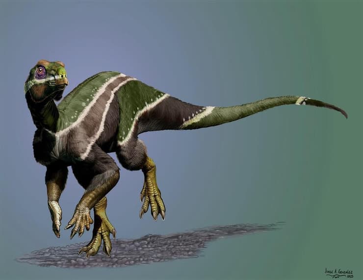 הדינוזאור יאני סמית'י, ששרידיו התגלו ביוטה