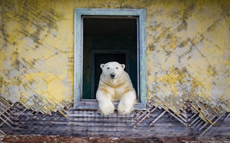 Polar frame, צולם ברוסיה