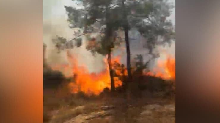שריפה בפארק ז׳בוטינסקי