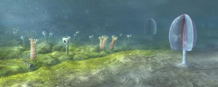 שחזור של קרקעית הים מתקופת האדיקר שמראה מגוון בעלי חיים