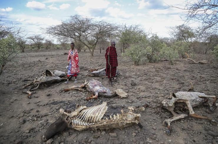 פגעי הבצורת בקניה