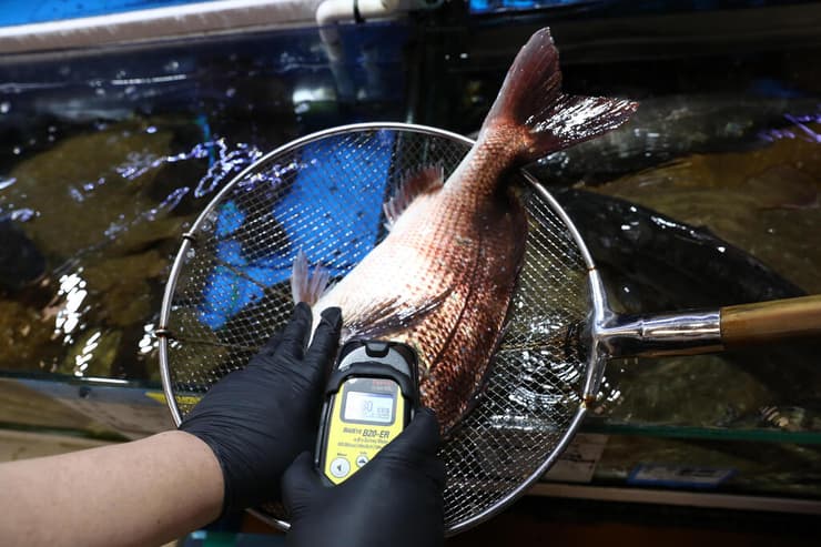 דרום קוריאה מחפשים שרידים רדיואקטיביים ב דג מ יפן על רקע תוכנית של יפן להזרים מים רדיואקטיביים ל אוקיינוס אסון פוקושימה גרעיני