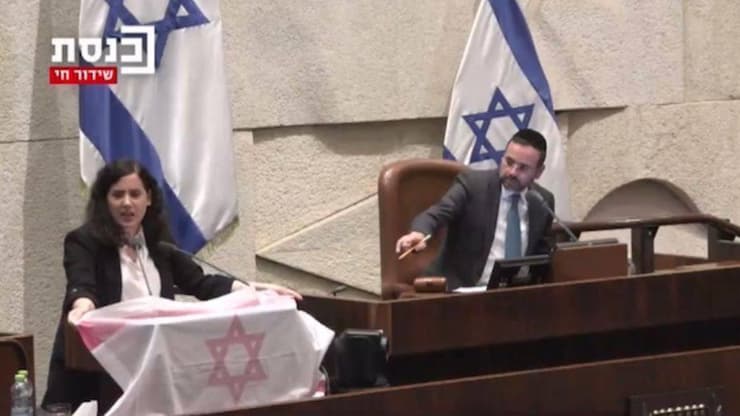 נעמה לזימי מחזיקה דגל ישראל ורוד במחאה על זכויות נשים במליאת הכנסת