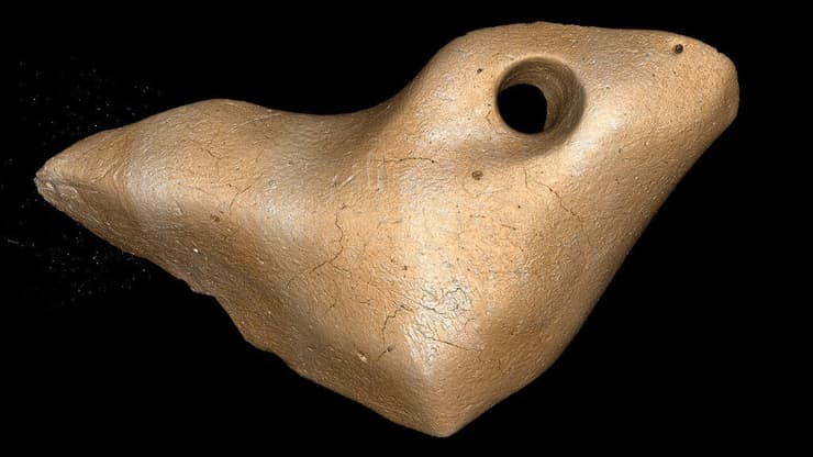 אחד האוסטאודרמים שהתגלו בברזיל וזוהו כתליון שהוכן על ידי בני האדם לפני 27 אלף שנה לפחות