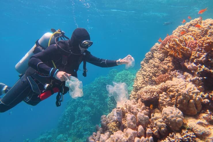 צוללן מנקה פסולת פלסטיק משונית אלמוגים