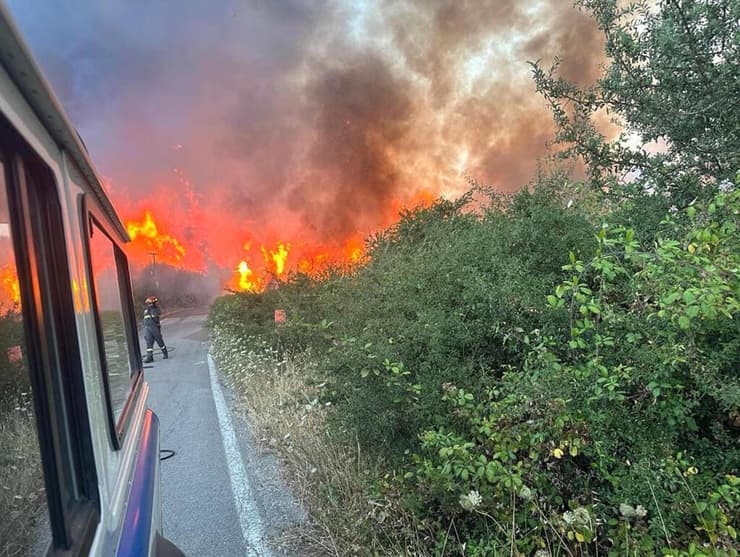 שריפה ליד נמל התעופה של פאלרמו ב סיציליה איטליה