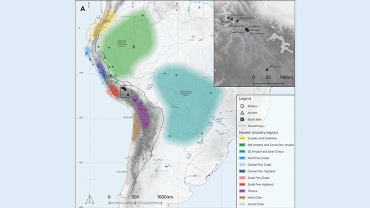 מפה של דרום אמריקה המציגה את המקורות הגנטיים של האנשים ששרידי עצמותיהם התגלו במאצ'ו פיצ'ו ובקוסקו