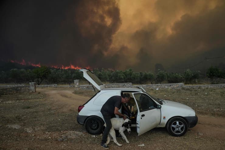 אדם וכלב מתפנים משריפה באזור אתונה