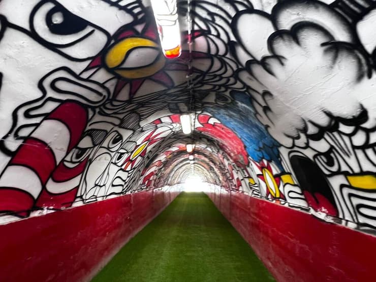 המנהרה המפורסת שדרכה עולים השחקנים לדשא באצטדיון בבלגרד  