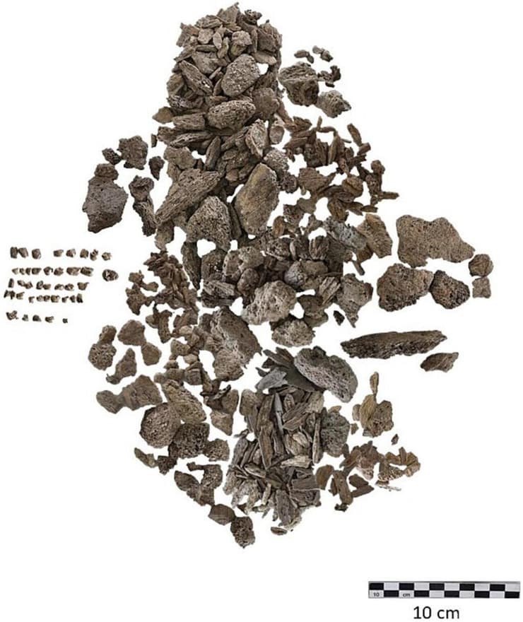 שרידי השלד שנמצאו בחלקת הקבורה שבאי ברייהר