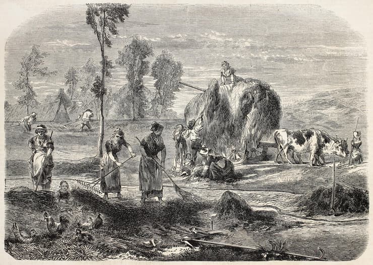 חקלאות במאה ה-19 בצרפת