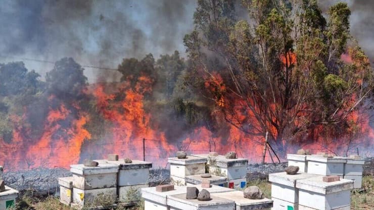 שריפה באזור פארק הירדן 