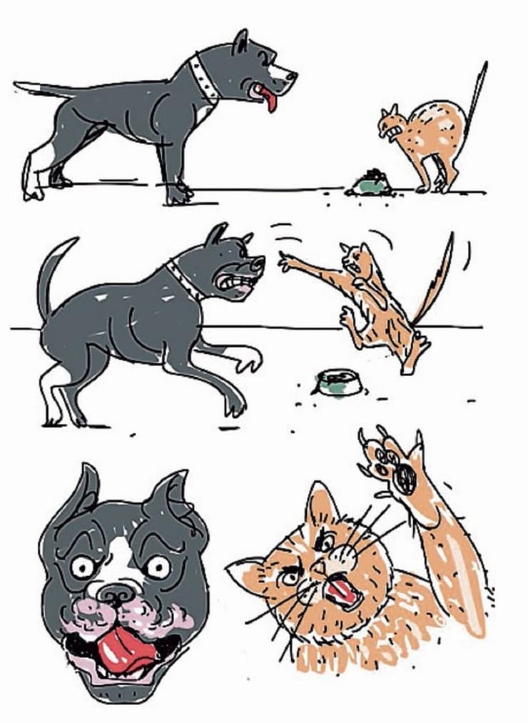 איור: דניאלה לונדון דקל