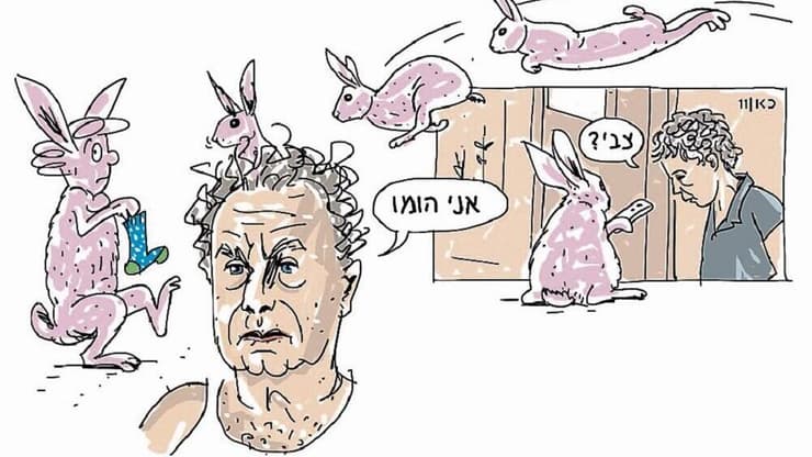 איור: דניאלה לונדון דקל
