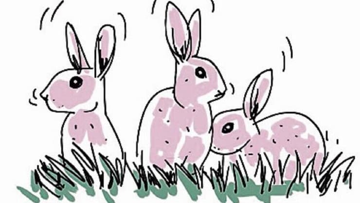 איור: דניאלה לונדון דקל