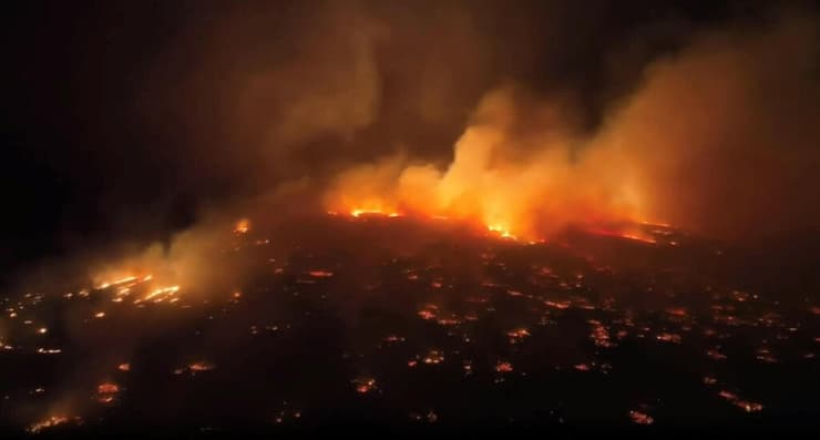 שריפה שריפת יער הוואי האי מאווי ארה"ב