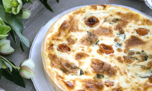 מתכונים קיש גבינת עיזים ואנטיפסטי