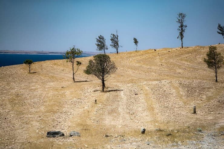 דוגמה לשטח שבעבר היה מיוער, אך כיום נותר שומם ומיושב, בין היתר כתוצאה מכריתת העצים הבלתי חוקית בסוריה