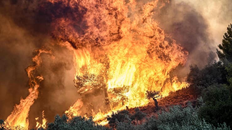 יוון שריפה שריפות פרודרומוס 100 קילומטר מצפון ל אתונה