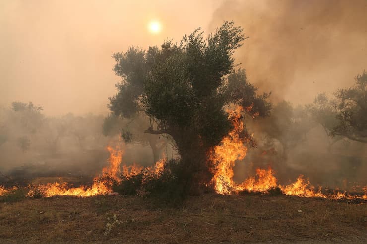 יוון שריפה שריפות אלכסנדרופוליס