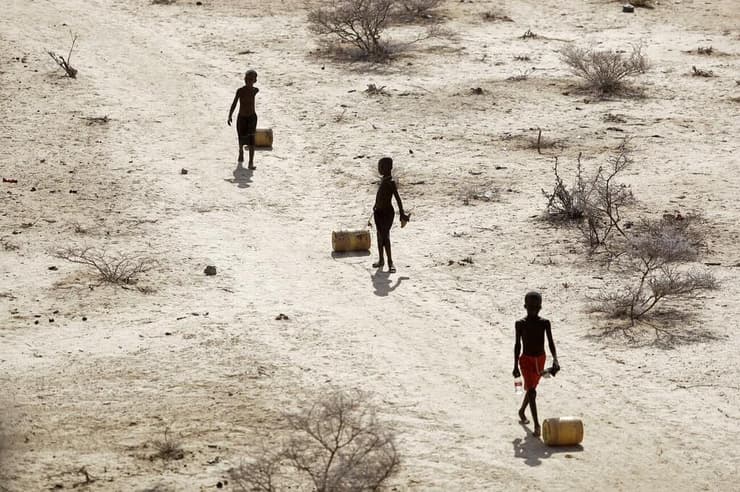 פגעי הבצורת באפריקה