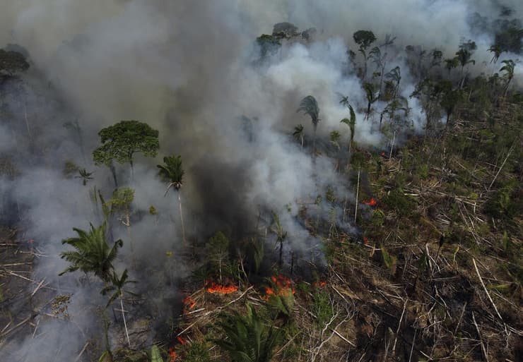 שריפת יערות הגשם באמזונס שבברזיל