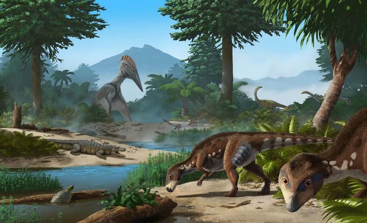 שחזור של רבדודוניים ממין Transylvanosaurus platycephalus, שחיו במערב רומניה בתקופת הקרטיקון