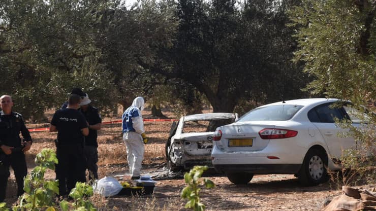 זירת הרצח במטע הזיתים סמוך לאבו סנאן