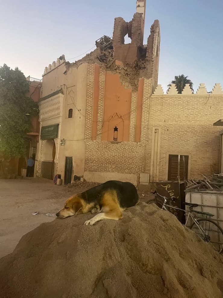 מסגד שקרס בשוק הגדול ג'מע אל-פנה ב מרקש מרוקו רעידת אדמה