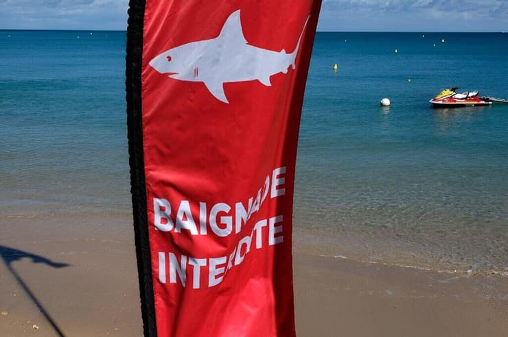 אזהרה מפני התקפות כרישים באחד מחופיה של קלדוניה החדשה