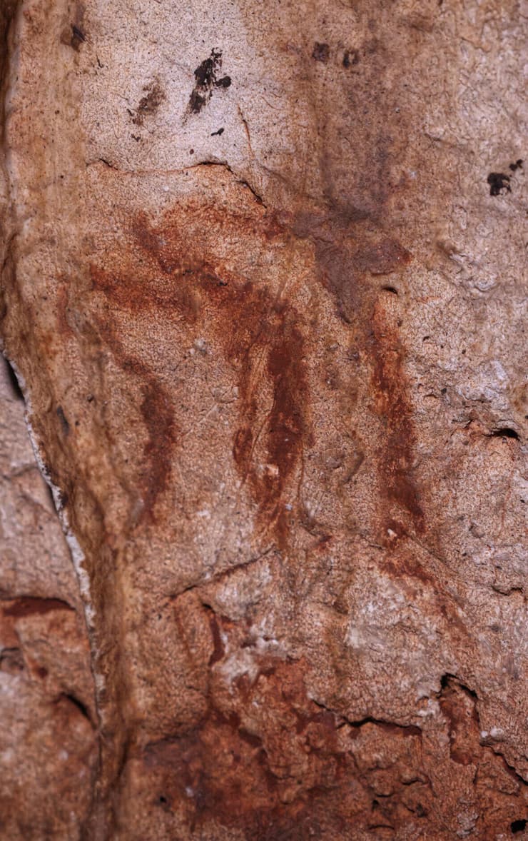שני ראשי איילים אצילים, שהתגלו על ידי החוקרים על קירות המערה בספרד