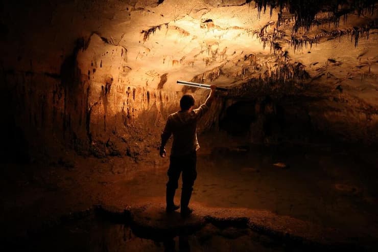 כמה מהאיורים והתחריטים שהתגלו על קירות המערה בספרד