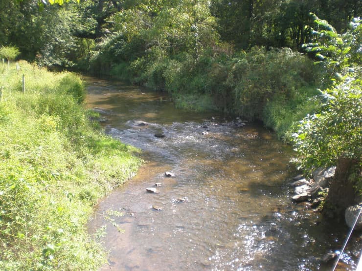 אחד מהנהרות שנכללו במחקר, שממצאיו העלו תמונת מצב מדאיגה של התחממות המים והידלדלות רמות החמצן