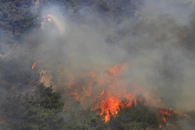 השריפות בלבנון