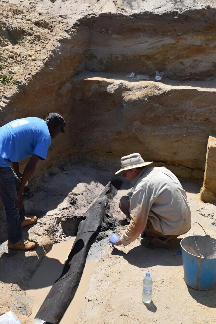 צוות הארכיאולוגים חושף את מבנה העץ העתיק