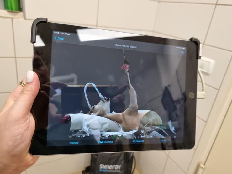 צילום שנעשה ליעלה (צילום: צוות בית החולים לחיות בר) צילום שנעשה ליעלה