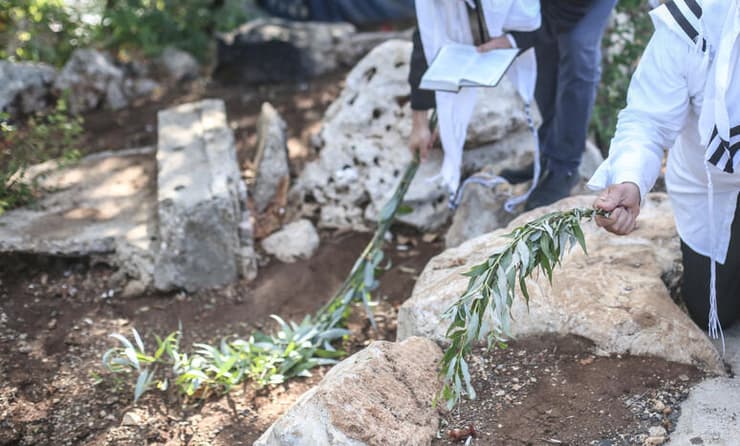 חובטים ערבות בהושענא רבה