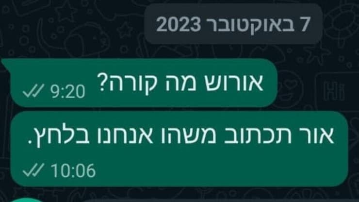 אור ועינב לוי